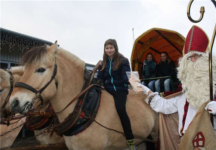 Mit St. Nikolaus und der Pferdekutsche ging es auf eine Rundfahrt durch die Schonungen des Tannenhofs.
