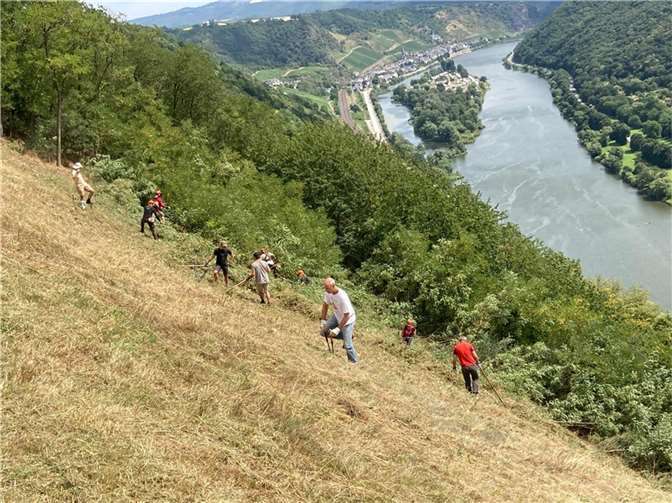 Mit Wiesenmäher und Freischneider konnte der Starthang wieder pilotenfreundlich hergerichtet werden.