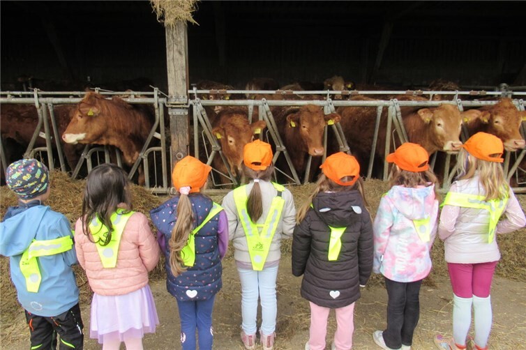 Mit allen Sinnen erleben: Die Kinder der Integrativen Caritas-Kita St. Franziskus in Wirges erkunden den Bauernhof Mai und kommen den Tieren dabei ganz nah.