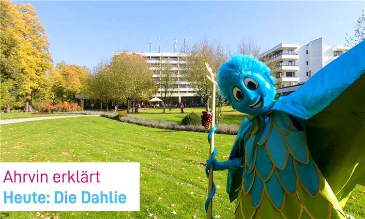 Mit anschaulichen Videos erklären Ahrvin und Lukas verschiedene Begriffe rund um die Landesgartenschau. Dabei führen sie die Zuschauer durch Ahrvins Heimat.Foto: privat