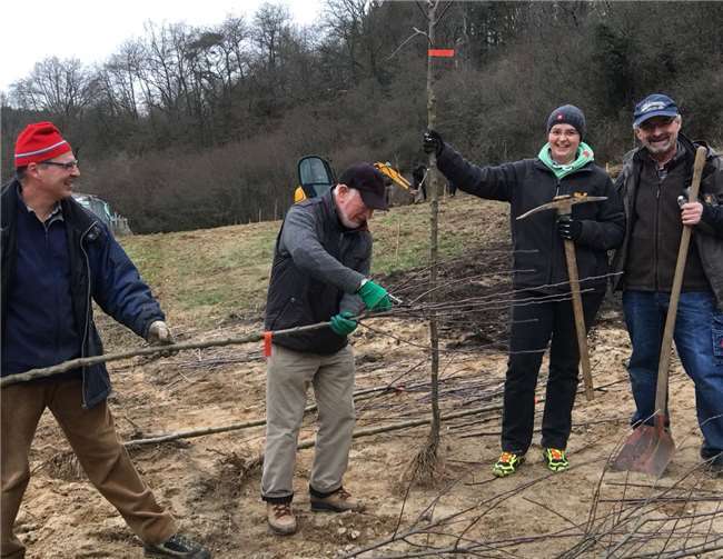 Mit dem Pflanzen der Bäume setzen die Rotarier ein Zeichen gegen den Klimawandel.