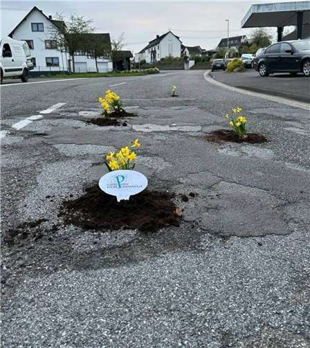 Mit dem „Pflanzen“ von Osterglocken machten die Gewerbetreibenden auf den schlechten Zustand der Straßen aufmerksam.  Quelle: Ortsgemeinde Urbach