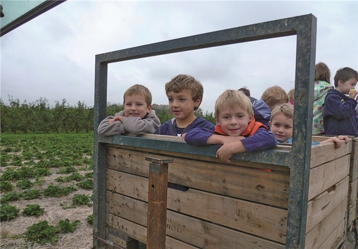 Mit dem Traktor ging es zur Plantage und zurück.