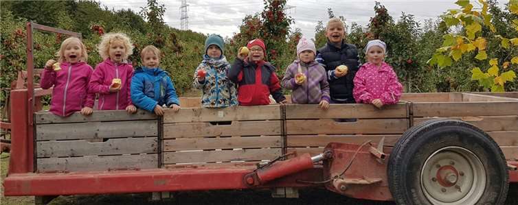 Mit dem Traktor und den Apfelkisten ging es zur Apfelplantage. privat