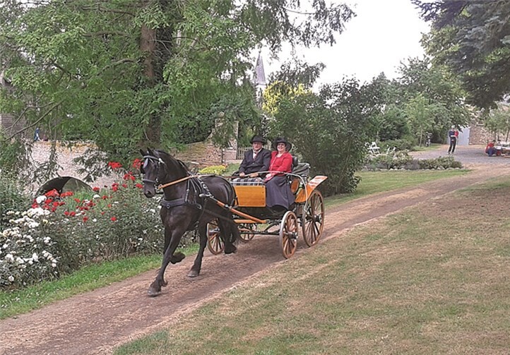 Mit dem historischen Doktorwagen waren Mike und Silke Hentschel unterwegs.privat