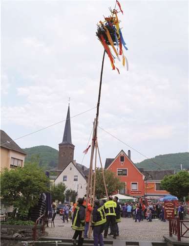 Mit dem nötigen Know How hievten die Treiser Floriansjünger den mit bunten Bändern geschmückten und mit Seilen gesicherten Maibaum in die Höhe.