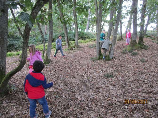 Mit den Waldtagen startete der Projekttag im Kindergarten in Volkesfeld.Foto: privat