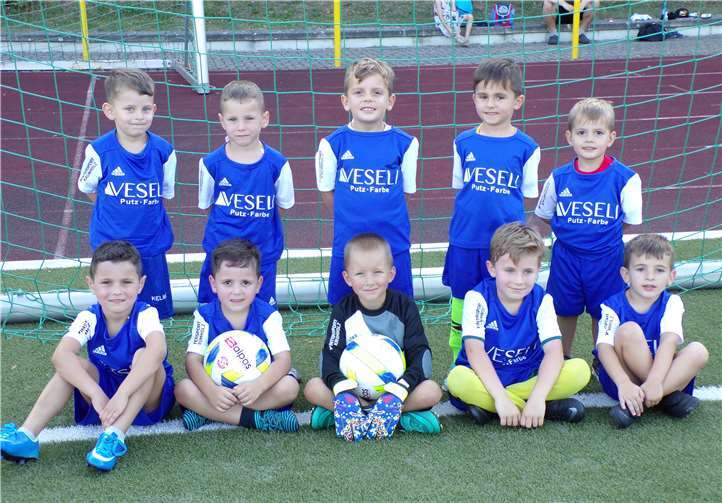 Mit den neuen Trikots gehen die Bad Breisiger Bambini doppelt motiviert ins Training. Foto: privat