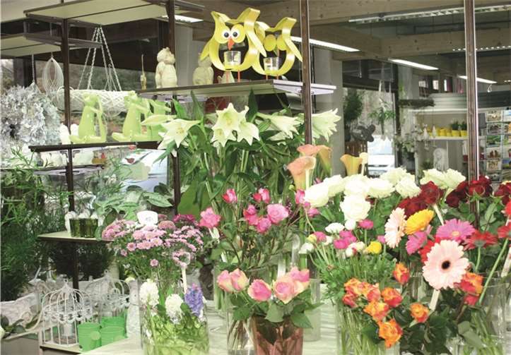 Mit den passenden Blumen auf den Frühling einstimmen. FRE