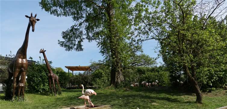 Mit der Baumpatenschaft werden verschiedene Laub- und Nadelbäume im Zoo gepflanzt und die bestehenden Bäume gepflegt. Fotos: privat