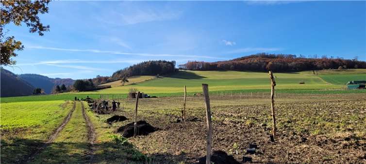 Mit der „Blühenden Oase“ in Hausten-Morswiesen ist ein Lerngarten entstanden, in dem man die unterschiedlichsten Sorten von Bäumen, Beeren und Blumen kennenlernen kann.Foto: privat