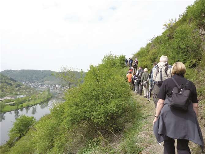 Mit der Buchsbaumwanderung an Palmsonntag wird die diesjährige Saison eröffnet.privat