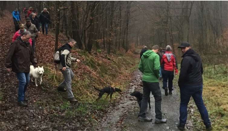 Mit der Linkenbacher-Winterwanderung wurde beim SGV Linkenbach das Vereinsjahr 2018 eröffnet. Foto: privat