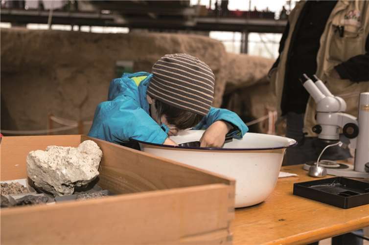 Mit der Lupe werden die Fossilien untersucht, um sie dann weiter zu behandeln. privat