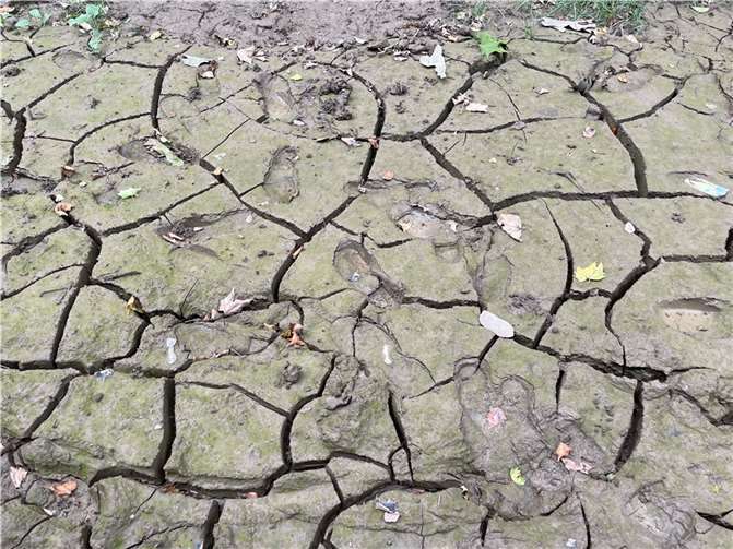 Mit der Überflutung wurde Schlamm und Erde in jede Ecke gespült. Foto: ROB