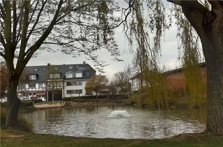 Mit dieser jährlichen Aktion wird das Wasser im Burgweiher mit Sauerstoff versorgt. Fotos: privat