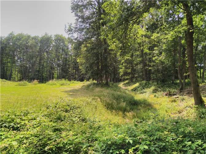 Mit einem Durchmesser von circa 170 Metern ist die nahezu kreisrunde Wallanlage etwa doppelt so groß wie Stonehenge. Quelle: Goloring e.V.