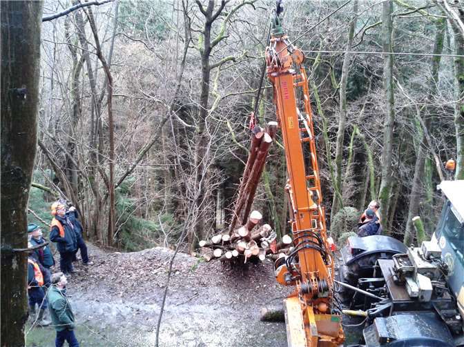 Mit einem Seilkran lässt Förster Andreas Zedler in schwierigen Lagen auf Recher Gemarkung Holz aus dem Kleinprivatwald rücken und anschließend maschinell aufarbeiten.