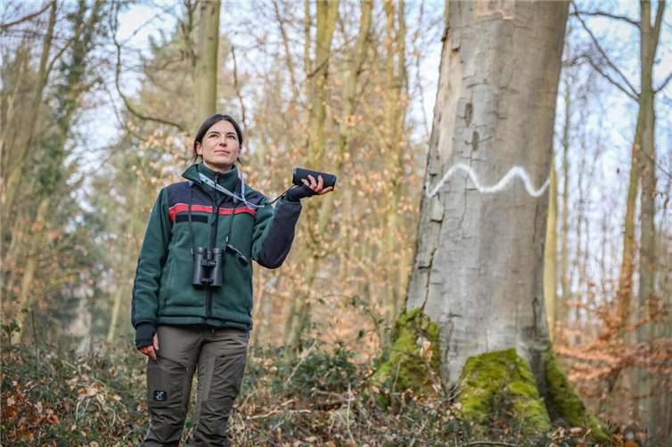 Mit einer Klangattrappe lockt Försterin Miriam Rosenbach im Koblenzer Stadtwald Spechte an, um deren Population erfassen zu können.