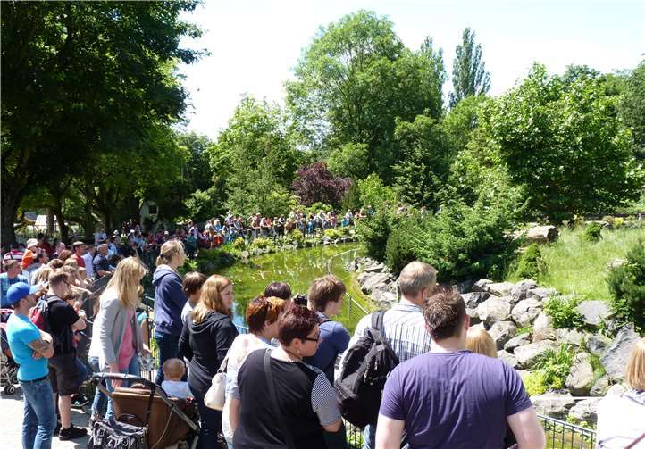 Mit einer Patenschaft ermöglicht man es auch sozial schwächeren Familien am kulturellen Angebot, beispielsweise Zoobesuche, Anteil zu haben.privat