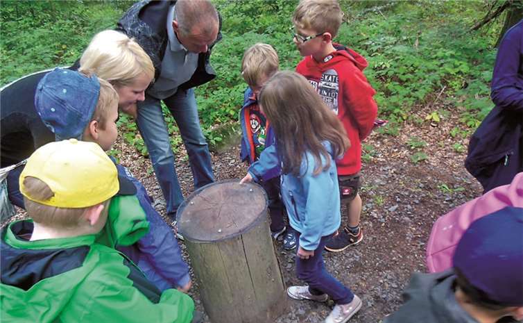 Mit großer Ausdauer wurden die Jahresringe gezählt.