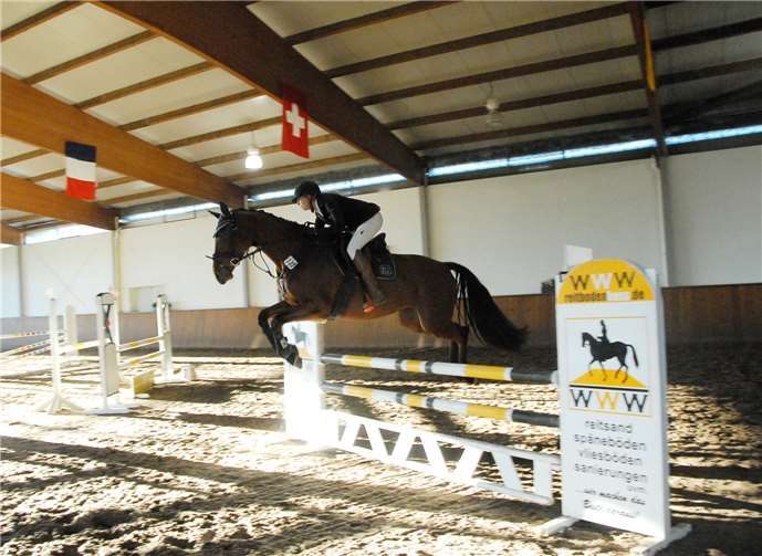 Ein „junges“ Reitturnier Mit guten Ergebnissen beendeten Finnja Paulina Stelter vom Gastgeberverein RV Kurtscheid und ihre sechsjährige Stute Luna die Springprüfungen. Das sicherte ihr am Ende zusammen mit Katharina Schestak die Vereinsmeisterschaft für LK4-Reiter. KER
