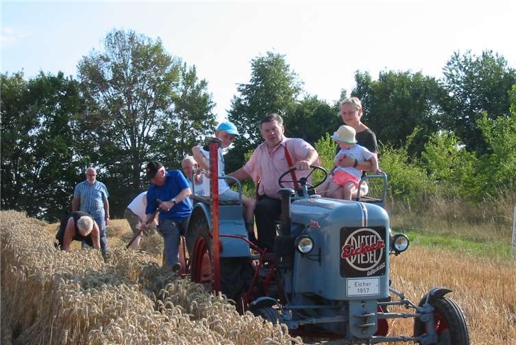 Mit historischen Landmaschinen wurde der Weizen geerntet. Fotos: privat