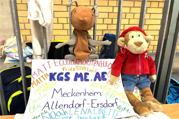 Mit ihrem Teamplakat und den Maskottchen gingendie Schülerinnen und Schüler der KGS Meckenheim motiviertin ihren ersten YoungStars-Wettbewerb und erreichten auf Anhieb einen hervorragenden 4. Platz.
