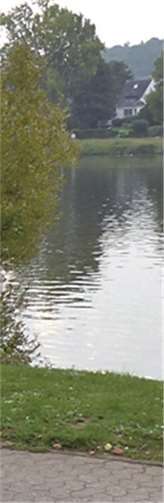 Mit jeder Menge Einsatz gingen die Sportler an den Start.