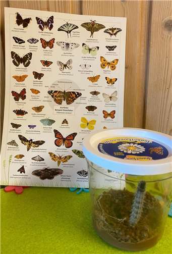 Mit kindgerechten Erklärungen können selbst die Kleinsten die Wunder der Natur verstehen. Foto: Caritas