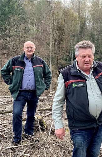 Mit klimaresistenten Baumarten gegen die Waldschäden: Uwe Hoffmann, Leiter Forstamt Dierdorf und Förster Ralf Winnen erklären das Aufforstungsprojekt.