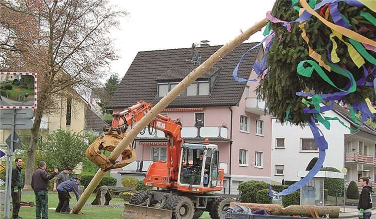 Mit schwerem technischen Gerät wird der 25 Meter hohe Maibaum aufgerichtet.