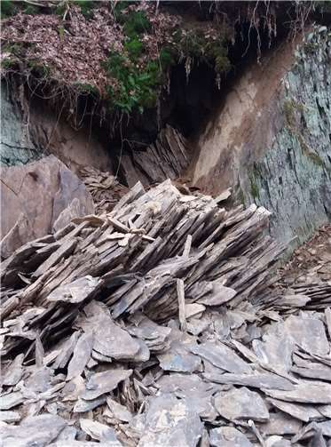 Mit seinem Werk „Kreidefels am Abgrund des Gelbachs“ bereicherte der Rügener Pascal René die Vernissage.