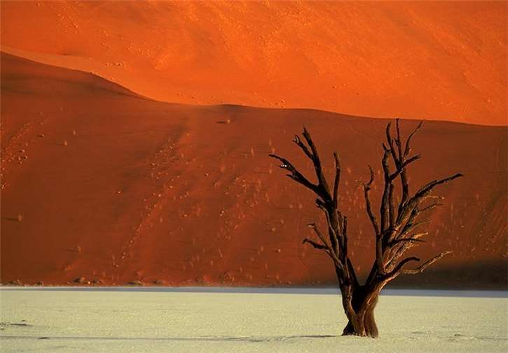 Mit seinen Impressionen aus Namibia weckt der Fotograf das Fernweh bei den Besuchern. Josef Niedermeier