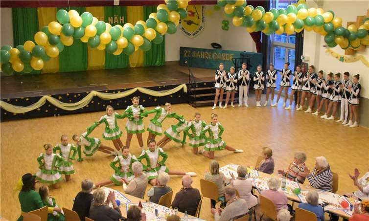 Mit tollen Formationen und Hebefiguren begeisterten die Gruppen der Tanzgarden die Senioren.privat