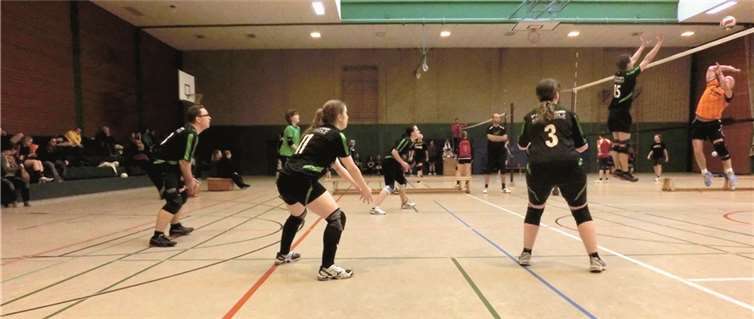 Mit verändertem Spielsystem und viel Kampfgeist konnten die Volleyballer aus Urmitz ein hervorragendes Turnier in der Hobby-Mixed-Rhein-Liga-B-Süd spielen. privat
