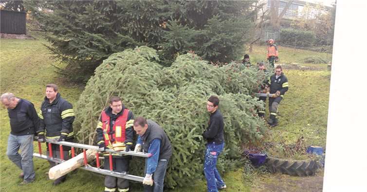 Mit vereinten Kräften geht es zum Transporter.