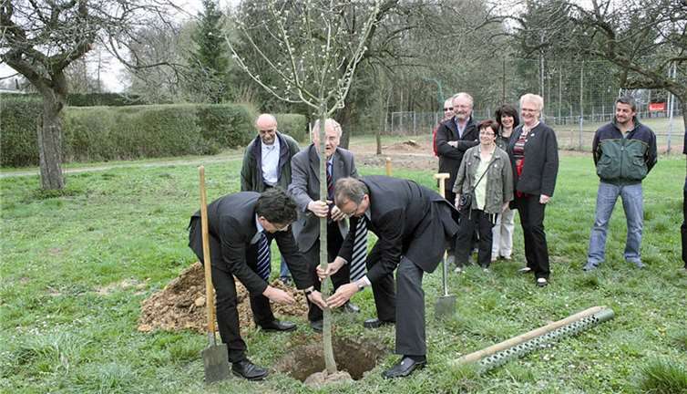 Mit vereinten Kräften hievten Rainer Kaul, Dieter Sander und Frank Becker die Goldparmäne in das Pflanzloch. DL