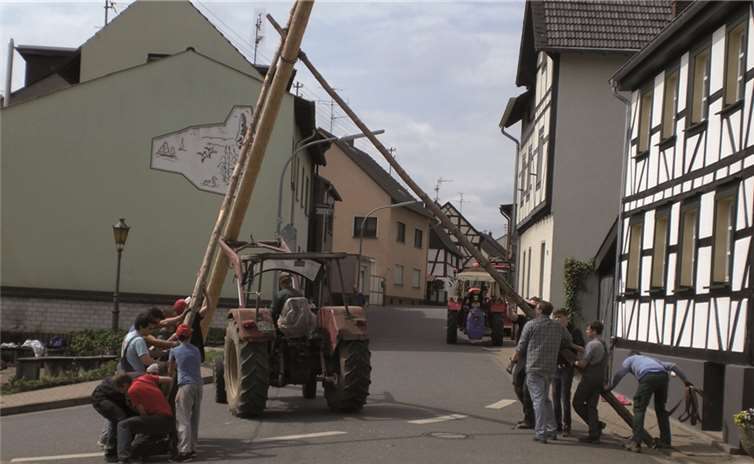 Mit vereinten Kräften ist der Baum schnell aufgestellt.