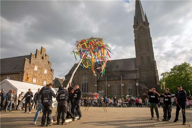 Mit vereinten Kräften stellte der Junggesellenverein Odendorf den Maibaum auf dem Zehnthofplatz auf.