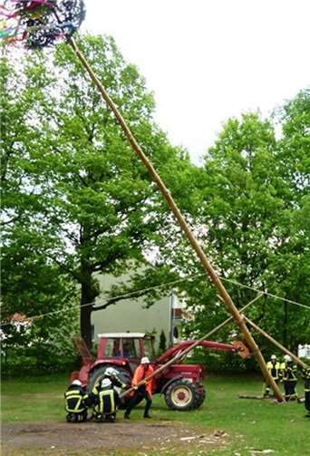 Mit vereinten Kräften stellte die Freiwillige Feuerwehr den Maibaum auf