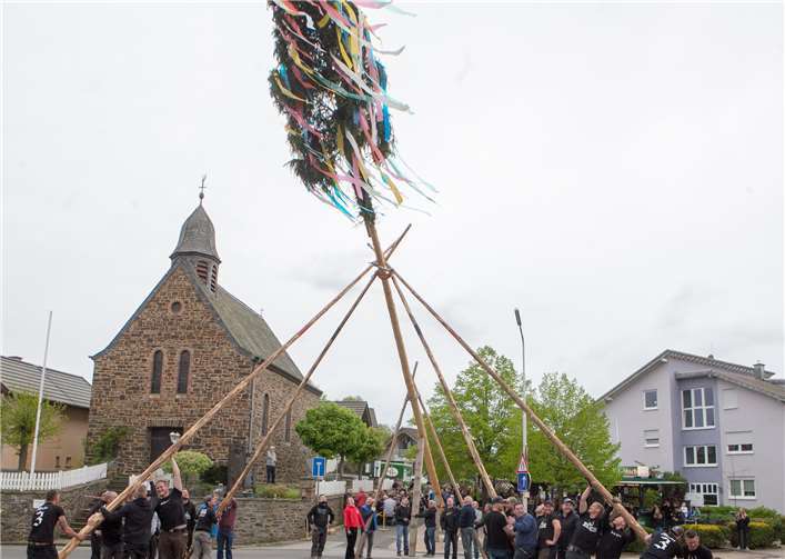 Mit vereinten Kräften stellten die Escher Junggesellen und Mitglieder der anderen Ortsvereine den Maibaum auf dem Dorfplatz auf.Jost