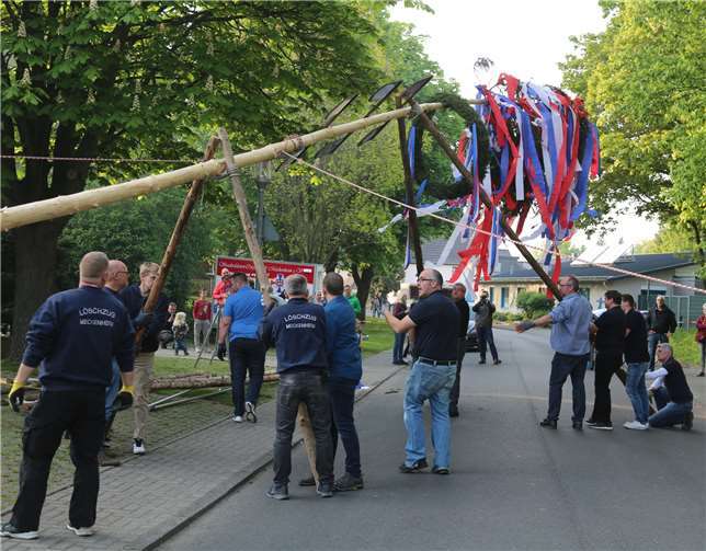 Mit vereinten Kräften wurde der Baum in die Höhe gestemmt.
