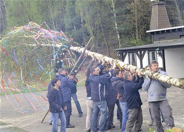 Mit vereinten Kräften wurde der Maibaum in seine Halterung gestemmt. privat