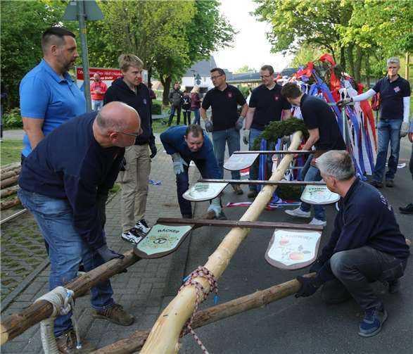 Mit vereinten Kräften wurde der geschmückte Baum in seine Halterung gebracht.