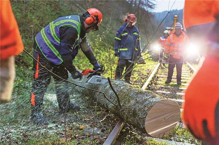 Mit vereinten Kräften wurden die Bäume aus dem Weg geräumt. Benedikt Rothkegel