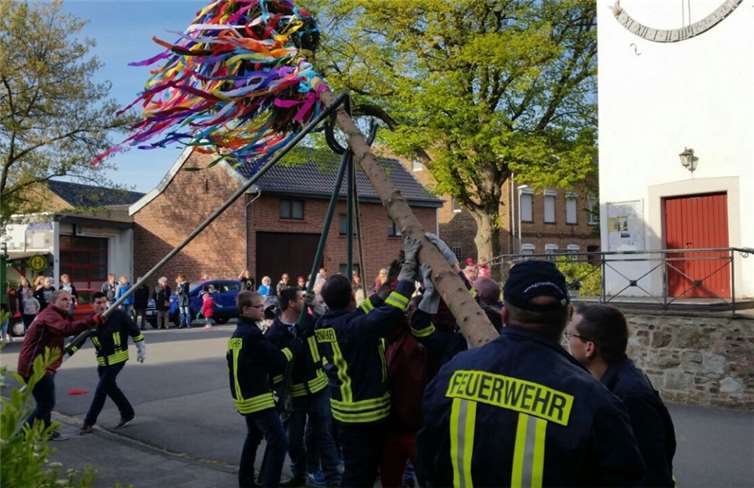 Mit vereinter Kraft stellten die Feuerwehrmänner und – Frauen den schön geschmückten Maibaum auf. Privat