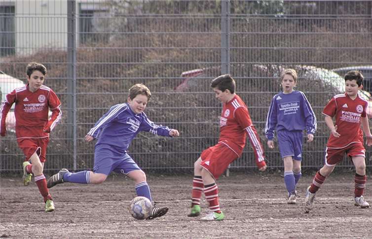 Mit viel Eifer aber immer fair agierten die D-Junioren der SG Bachem/Walporzheim (blaue Trikots) und des Ahrweiler BC im Derby. privat