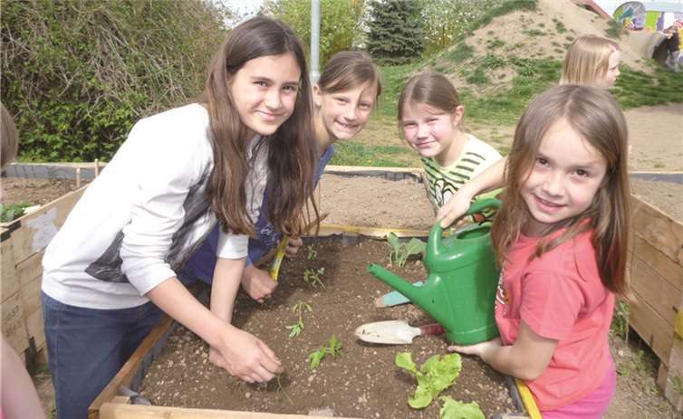 Mit viel Eifer waren die Hortis dabei, die neuen Hochbeete zu bepflanzen.privat