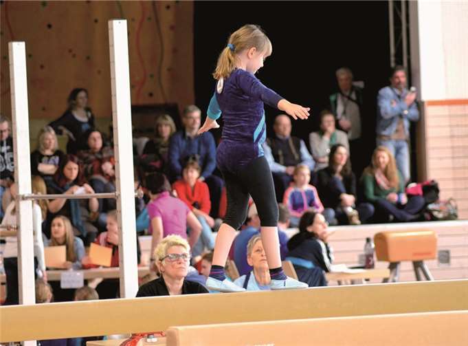 Mit viel Geschick absolvierten die kleinen Turner und Turnerinnen ihre Übungen.privat